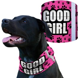 SA-D50053 - Kutyakendő - Good Girl | CoolGear.hu