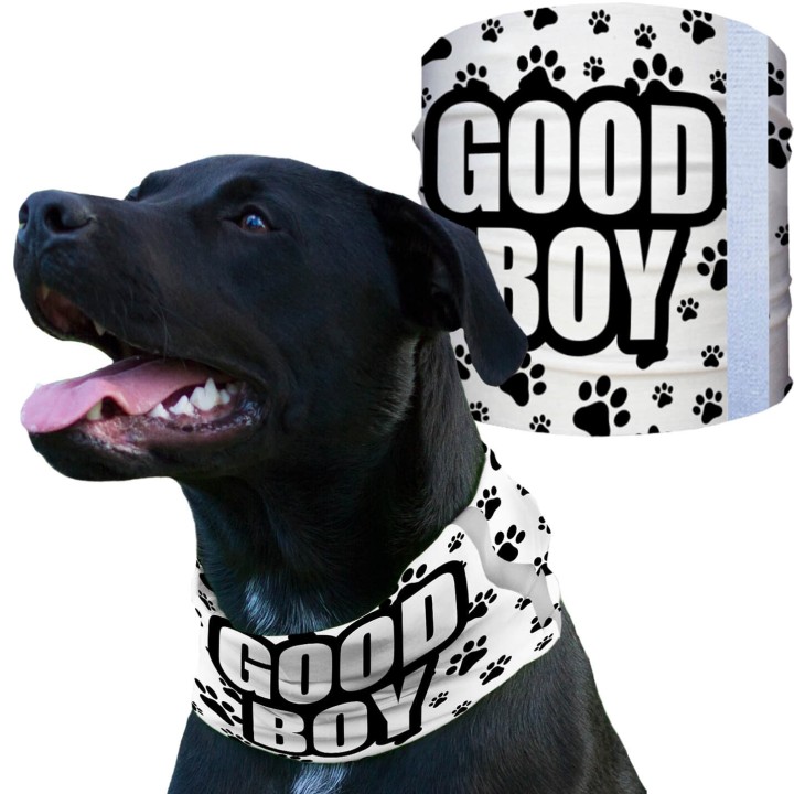 SA-D50054 - Kutyakendő - Good Boy | CoolGear.hu