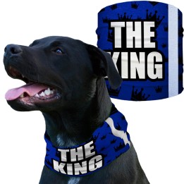 SA-D50055 - Kutyakendő - The King | CoolGear.hu