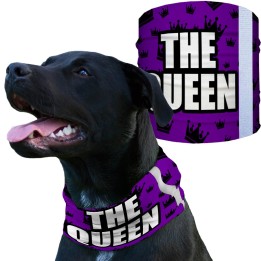 SA-D50056 - Kutyakendő - The Queen | CoolGear.hu