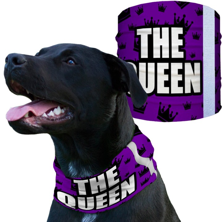 SA-D50056 - Kutyakendő - The Queen | CoolGear.hu