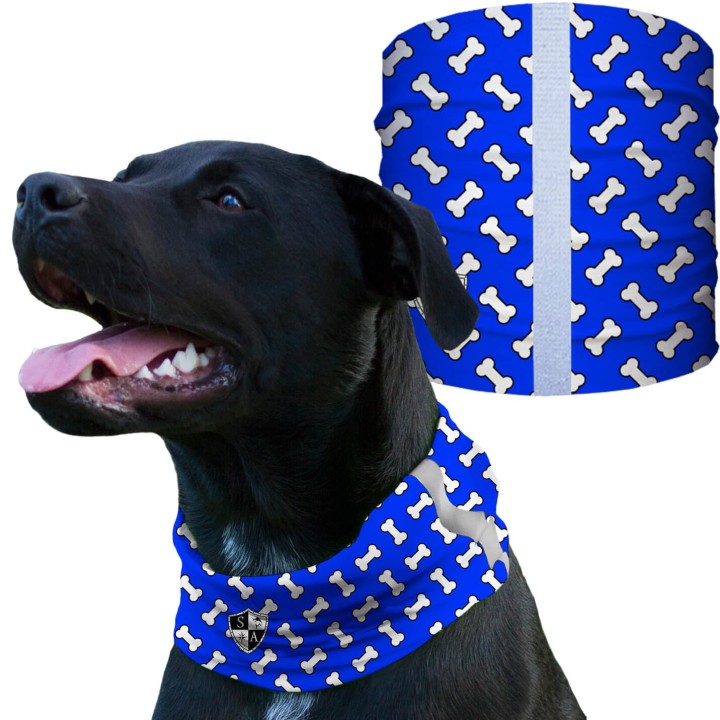 SA-D50050 - Kutyakendő - Bones Blue | CoolGear.hu