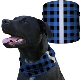 SA-D50037 - Kutyakendő - Lumberjack Blue Plaid | CoolGear.hu