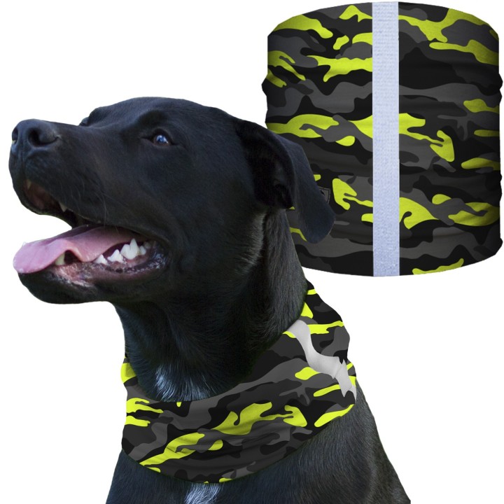 SA-D50059 - Kutyakendő - Surge Blackout Military Camo | CoolGear.hu